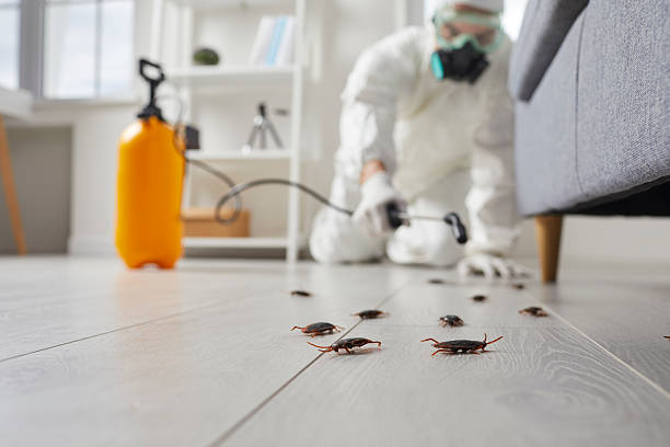 Commercial Kitchen Cockroach Control in Garrison