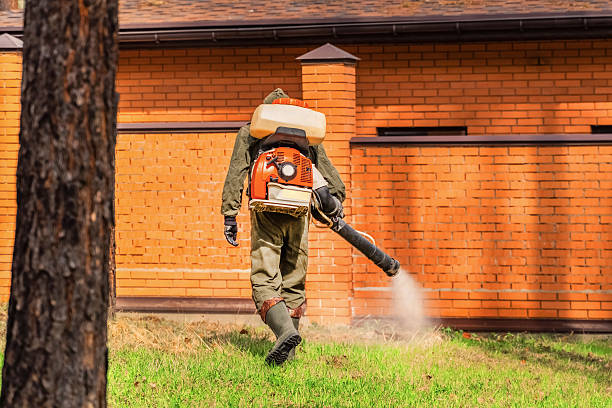 Cockroach Follow-Up and Monitoring in Garrison